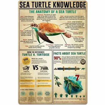 Морска костенурка Знание Метален знак Анатомията на една морска костенурка Инфографика плакат Училищна библиотека Ферма Начало Кухня Клуб Плакет стена - Изображение 1  